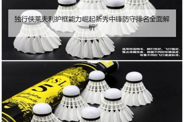 独行侠莱夫利护框能力崛起新秀中锋防守排名全面解析